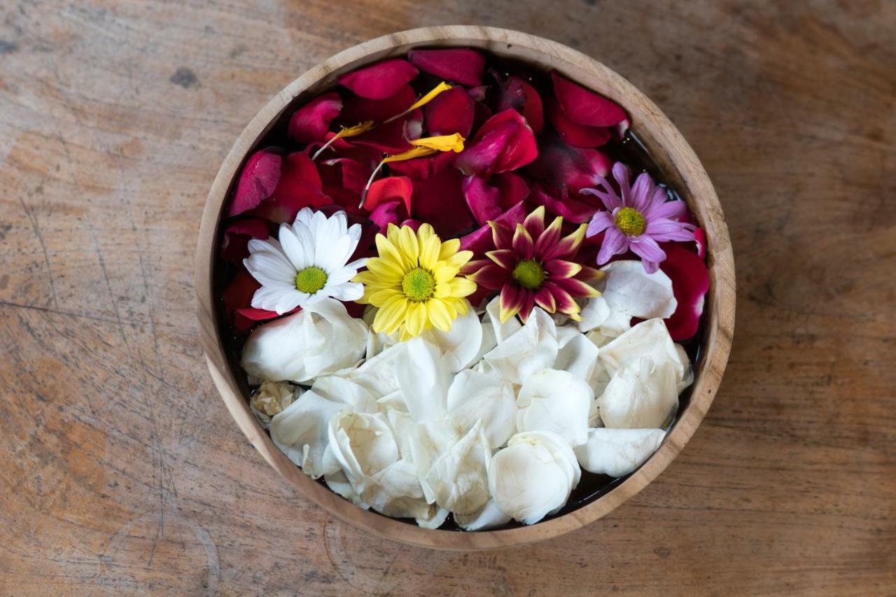 Ari Cottages Ubud Dış mekan fotoğraf